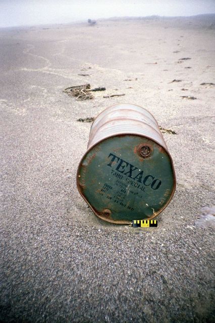 Point Reyes Great Beach south end Picture