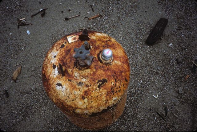 Point Reyes Great Beach south end Picture