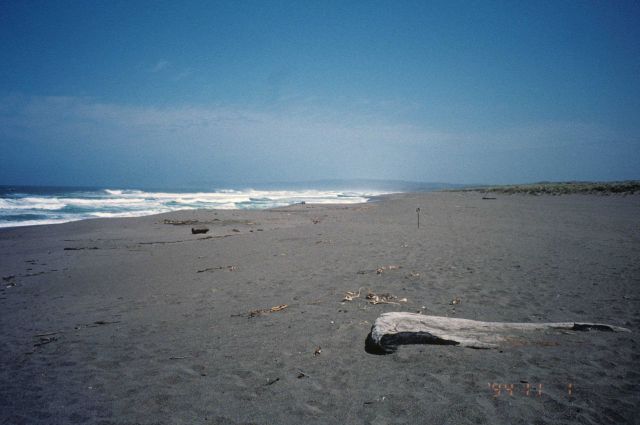 Point Reyes Great Beach south end Picture