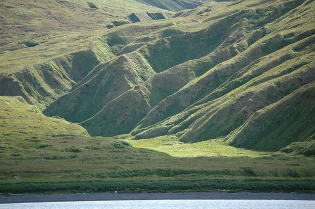 Chichagof Harbor area Picture