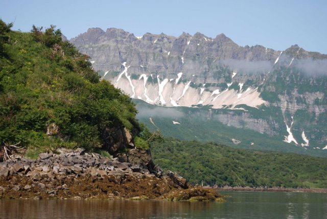 Amalik Bay at low tide showing algae covered rocks and low scrub brush covering the lower slopes of the mountains in Katmai Park and Wilderness Picture