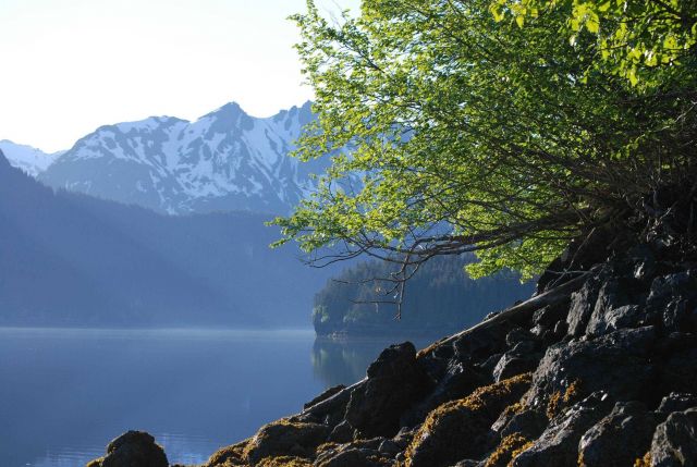 A placid view in Tutka Bay, an arm of Kachemak Bay in SE Cook Inlet. Picture