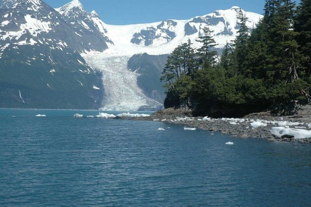 A view of a glacier in Barry Arm, connecting Harriman Fjord with College Fjord. Picture