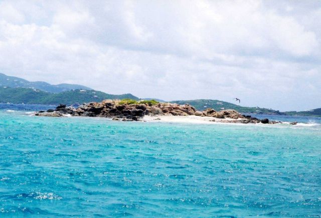 Stevens Cay, a small island in Pillsbury Sound Picture
