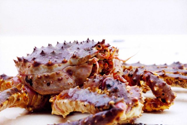 Alaska King Crab Picture