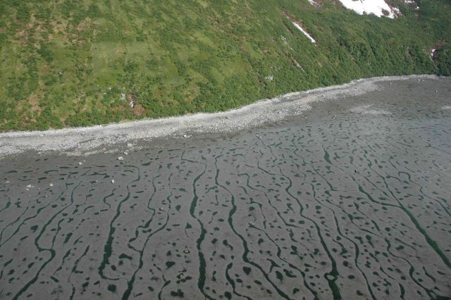 Aerial photograph Picture