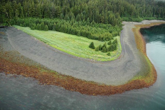 Aerial photograph.An Elrington Island Beach showing different flora zones in both the intertidal zone and on land. Picture