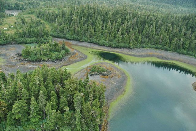 Aerial photograph Picture