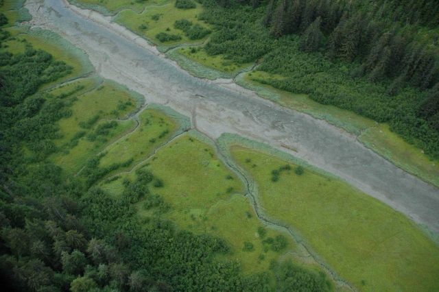 Aerial photograph Picture