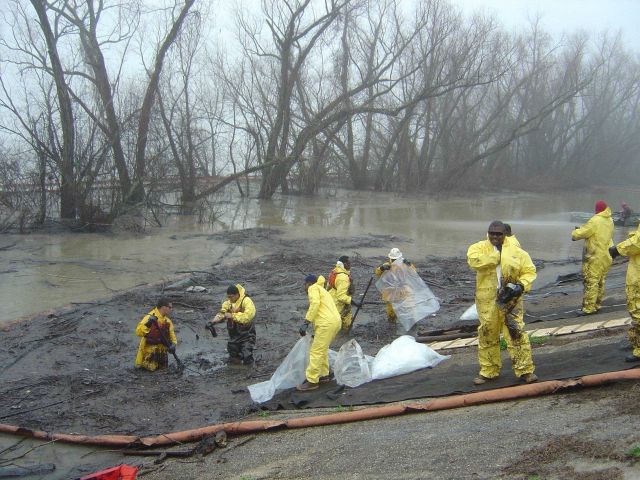Cleanup efforts after oil spill Picture
