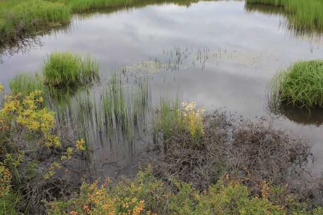 A thermo-karst melt pond adjacent to the road which accelerated the melting of permafrost Picture