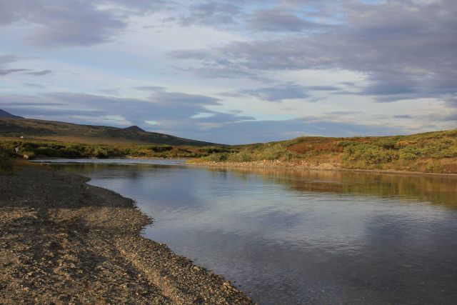 The Kougarok River on the Seward Peninsula. Picture