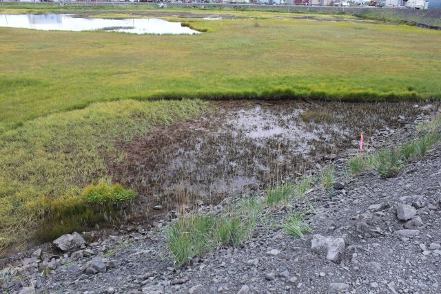 Thermokarst on melting permafrost caused by improper road construction. Picture