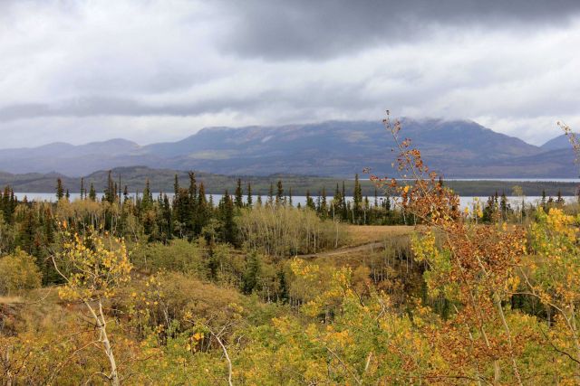 A fall scene along the Dempster Highway headed north to the MacKenzie River Picture