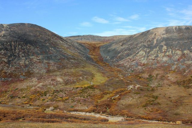 Tundra scene along the Dempster Highway Picture