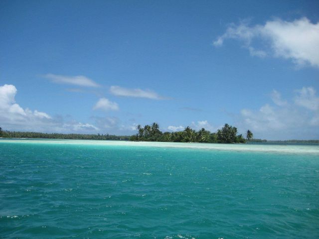 In the shallow aquamarine waters of the lagoon at Palmyra Island. Picture
