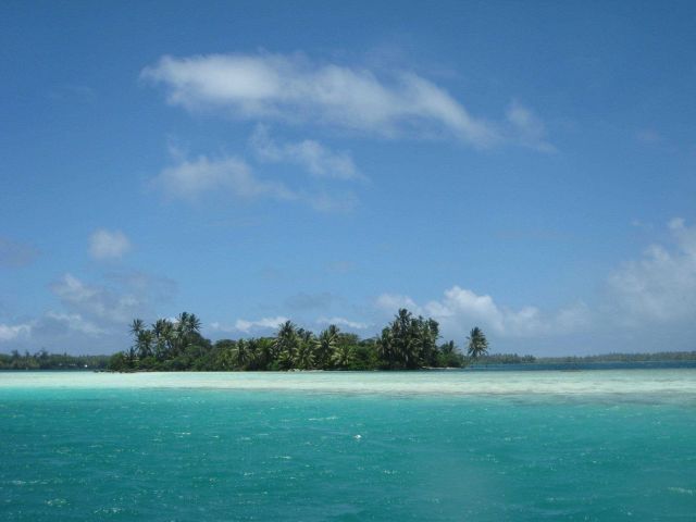 In the shallow aquamarine waters of the lagoon at Palmyra Island. Picture