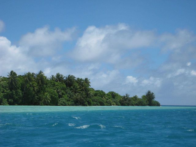 Vegetation including the ubiquitous palm trees of the tropical Pacific cover Palmyra Island and its associated offshore islets. Picture