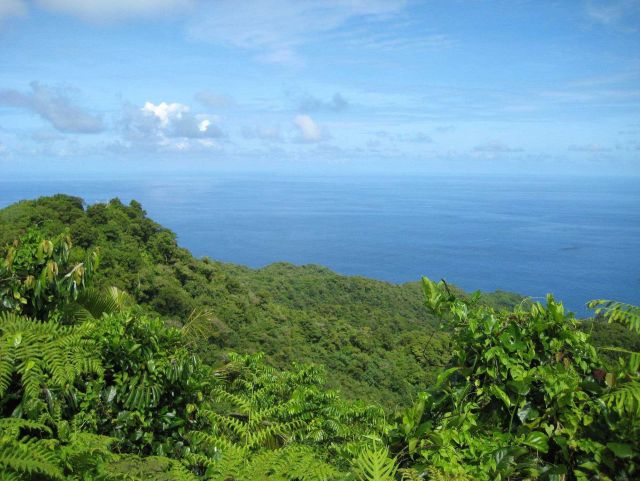 A view over the lush Samoan vegetation to the Pacific Ocean Picture