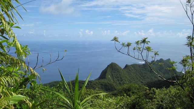A view over the lush Samoan vegetation to the Pacific Ocean Picture