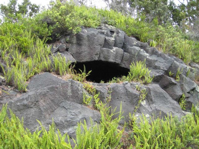 A lava tube forming a cave Picture