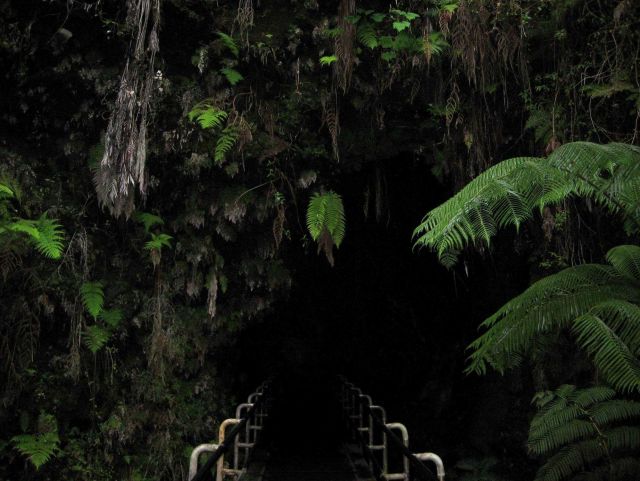The entrance to Thurston Lava tube. Picture