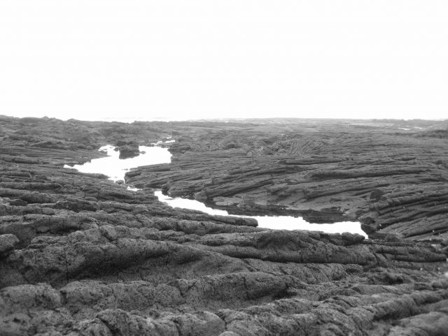 Frozen ropes of pahoehoe lava Picture