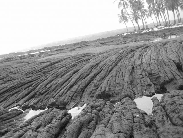 Frozen ropes of pahoehoe lava Picture