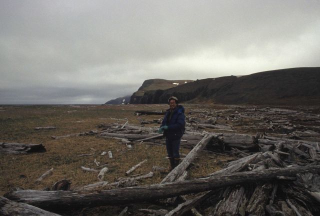 Allen Shimada with driftwood thrown up on the shores of an Aleutian Island by powerful North Pacific storms. Picture