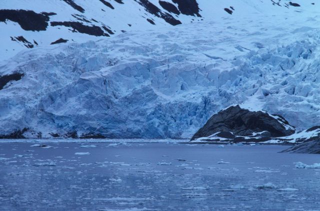 Termination of a glacier in Glacier Bay Picture
