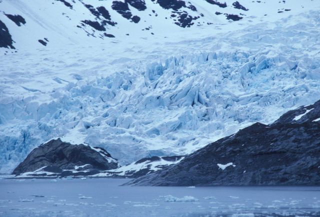 Termination of a glacier in Glacier Bay Picture