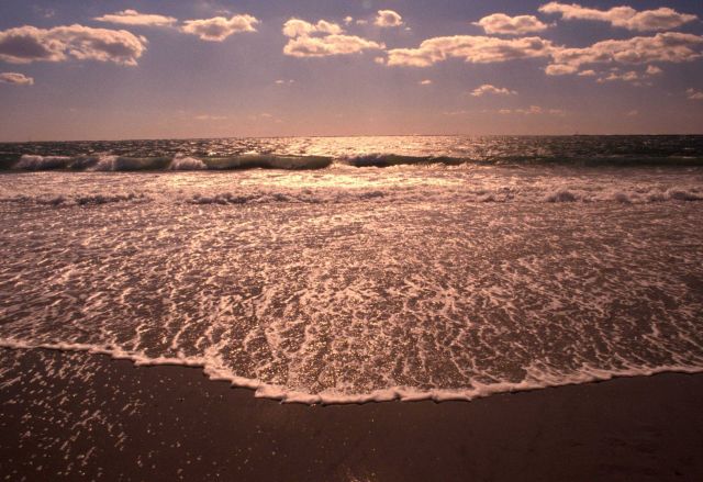 The foam from the last of a wave coming ashore on a Massachusetts beach Picture