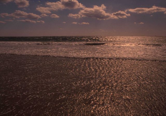 Foam and surf highlighted by the afternoon sun. Picture