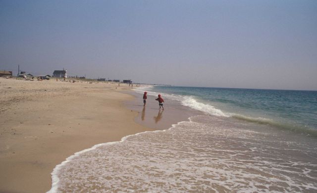 Thrown and run back from the encroaching sea Picture