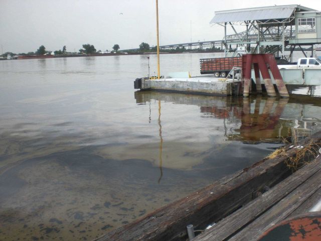 Oil spill viewed from the Riverwalk in New Orleans Picture