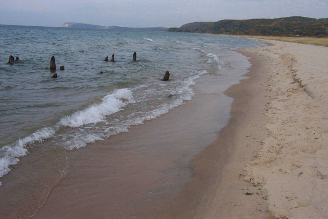 Dock pilings, remnants from Michigan's logging industry Picture