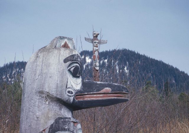 Totem poles at Sitka National Monument Picture