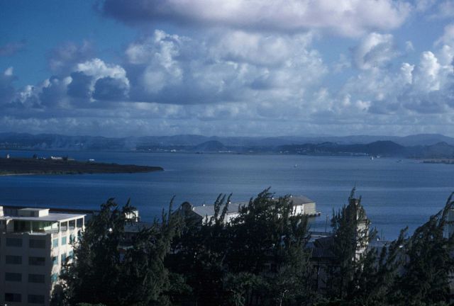 View over the Sitka Harbor Picture