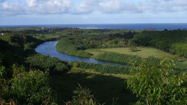 Looking down the Wailua River to the sea Picture