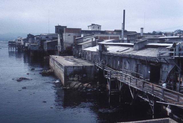 Cannery Row from the ocean side after the sardine fishery failed. Picture