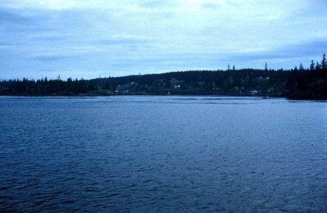 A scene along the Inside Passage Picture