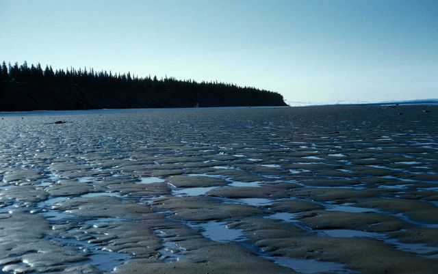 Low tide in Cook Inlet Picture
