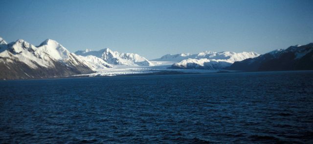 Bear Glacier Picture