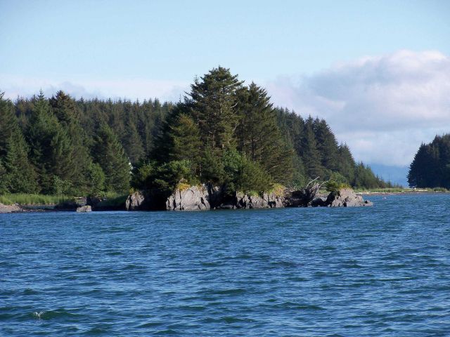 A rocky tree-covered islet along the Kodiak coastline. Picture