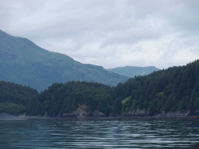 Kodiak Island with large evergreens at low levels and the treeline seen on the high ridges indicating a more severe Arctic climate as elevation increa Picture