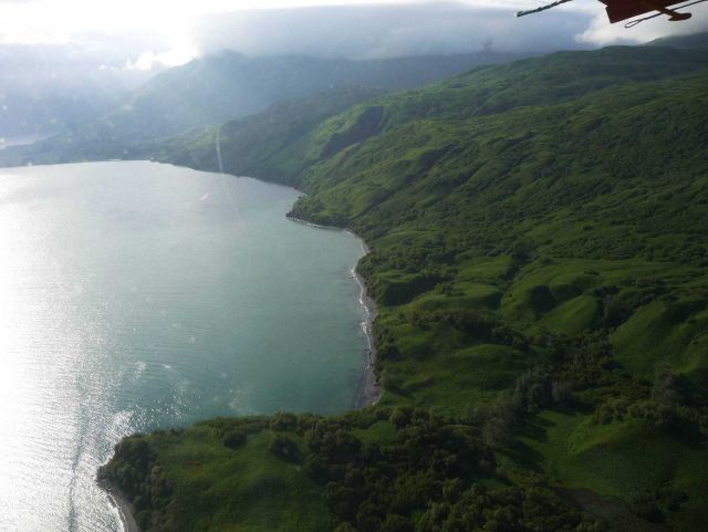 Aerial view of Kodiak Island shoreline Picture