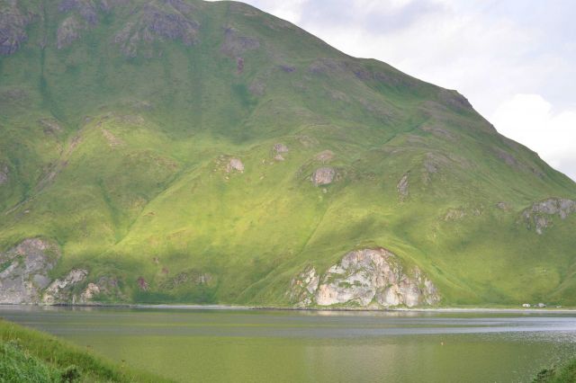 A hidden bay and a verdant green mountain side showing wave cut terraces that have been uplifted as a result of tectonic processes. Picture