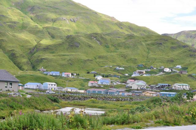 Looking over wildflowers and a small lake to a residential district of Dutch Harbor. Picture