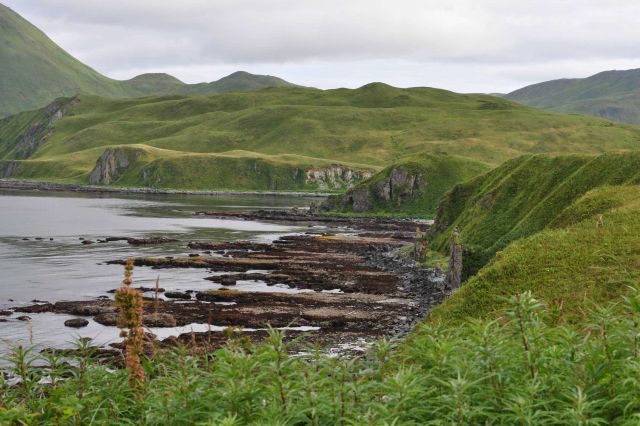 Rock ledges protruding out from shore at low tide. Picture