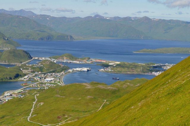 Dutch Harbor seen from the hills above Picture
